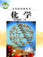 仁爱版科普版九年级化学上册