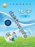 仁爱版科普版九年级化学上册