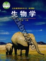 鲁科版六年级生物上册